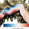 Earth vibrated for 9 DAYS following a 650ft mega-tsunami, scientists confirm