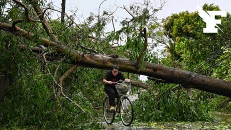 Trois morts, pluies torrentielles... Les impressionnants dégâts du typhon Kajiki au Vietnam
