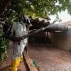 WHO warnt vor weltweiter Chikungunya-Epidemie: Stiko empfiehlt Reiseimpfung