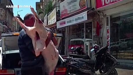 Hijyen kurallarına uymadan otomobil bagajında et taşıdılar