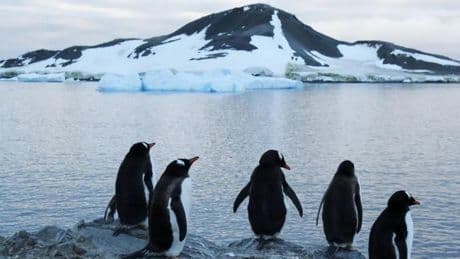 La paradoja de la Antártida: gana hielo por primera vez en 30 años pero vuelve a encender las alarmas de los científicos