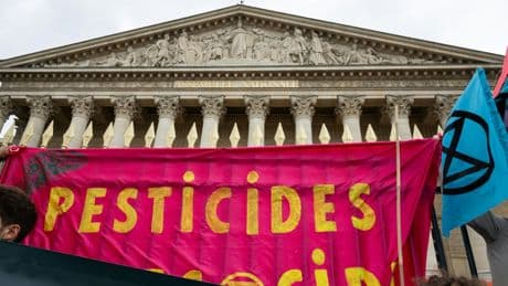 Loi Duplomb : le monde agricole demande de la "cohérence" à l'exécutif pour réguler l'importation d'acétamipride