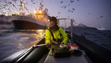 „Nature“ zeichnet Fotos von Wissenschaftlern bei der Arbeit aus