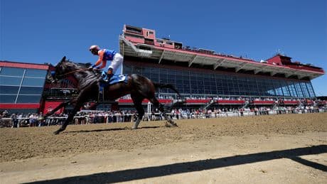 How to watch the Preakness Stakes 2025 live for free: Time, streaming, odds