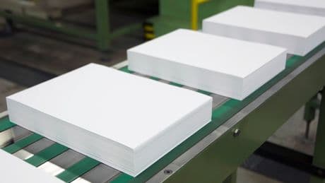 Großer Papierhersteller plant Stellenabbau: Bis zu 200 Arbeitsplätze sind in Gefahr