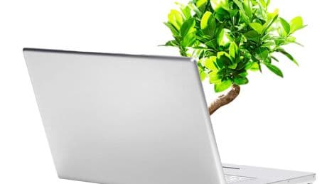 Ökobilanz: Software: Warum auch Computer-Programme schlecht für die Umwelt sein können