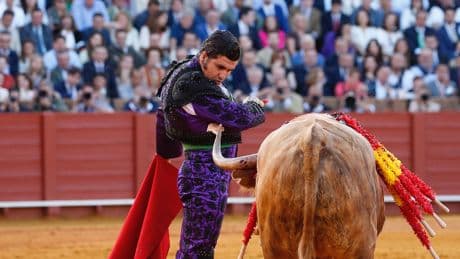 Morante de la Puebla, David de Miranda, Juan Pedro y Alcurrucén, premiados en Sevilla
