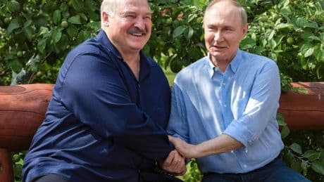 Putin responde a Trump que él determina los términos de la paz