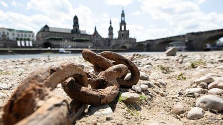 Experten alarmiert - Dürre in Deutschland so schlimm wie noch nie