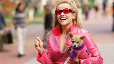Einer schlief tagelang auf Tom Hanks’ Hemden - Hauptrolle Hund! Die Geheimnisse der Film-Wuffis