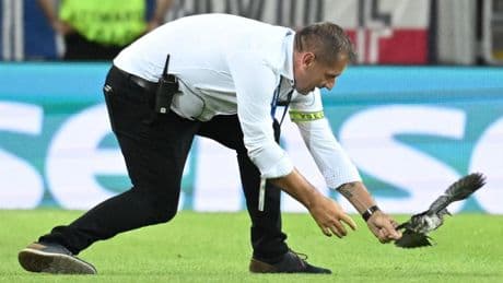 U21-Europameisterschaft: Taube sorgt für Unterbrechung bei DFB-Partie gegen Tschechien