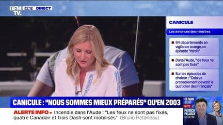 Incendie dans l'Aude : 400 hectares parcourus - 29/06