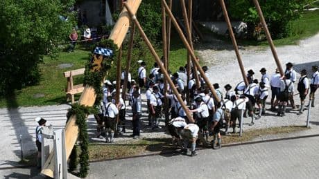 Brauchtum: Maibaum von Brüssel bis zur Zugspitze