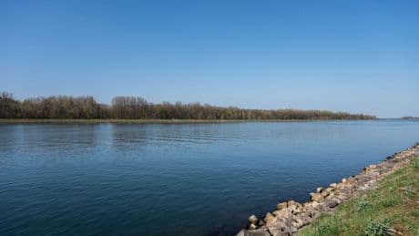 Umwelt: Wasserwerke wegen Chemikalien-Belastung im Rhein alarmiert
