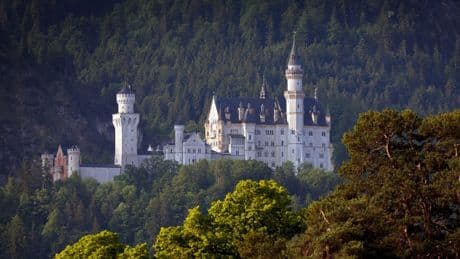 Schloss Neuschwanstein: Frau sperrt Hund bei Hitze in Schließfach – Anzeige