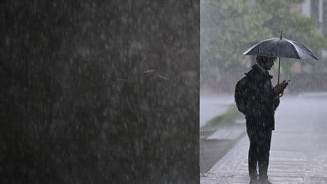 Wettervorhersage: Nasser Wochenstart in Berlin und Brandenburg
