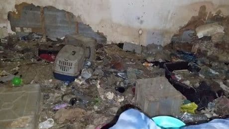 Scots woman kept 28 animals in 'rubbish and excrement' in 'appalling' incident