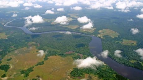 Congo-Brazzaville: des défis et solutions pour préserver les forêts du pays