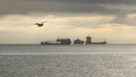 Tekirdağ'da deniz ulaşımı normale döndü
