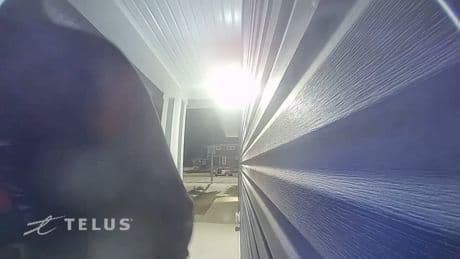 Calgary police charge 17 people in series of overnight break and enters