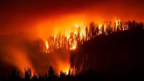 Waldbrand bedroht Riesenmammutbäume in Kalifornien