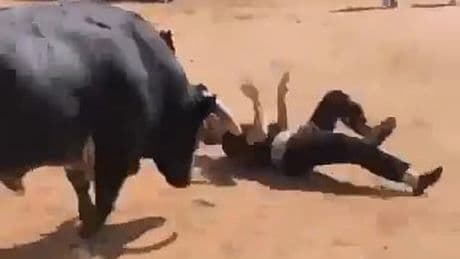 Horrific moment teen is repeatedly gored and tossed around by a rampaging bull during Spanish festival