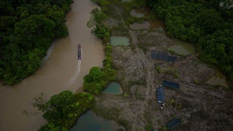Colombia lost huge area to deforestation in 6 months, public watchdog report warns