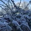 « Temps de Saint-Gildas, temps de glace » : que signifie cette expression ?