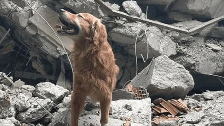 Kahraman Killian, hayatını kaybetti