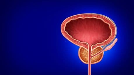Gesunde Prostata: Was Männer für ihre Prostata tun können
