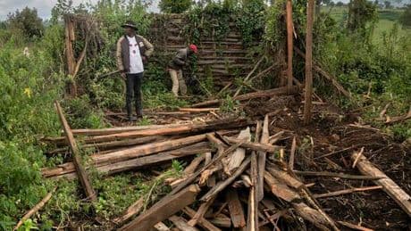 Malindi devastata dagli incendi: ville italiane distrutte sulla costa del Kenya