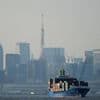 Japan records trade deficit as exports suffer from Trump's tariffs