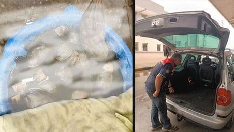 Kapıkule'de kaçak yollarla yurda sokulmak istenen 8 bin adet sülük ele geçirildi