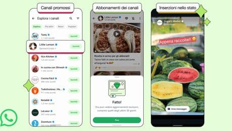Arriva la pubblicità su WhatsApp: sarà nello “stato”