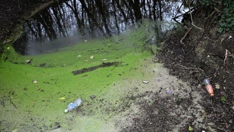 Why has there been a surge in water pollution?