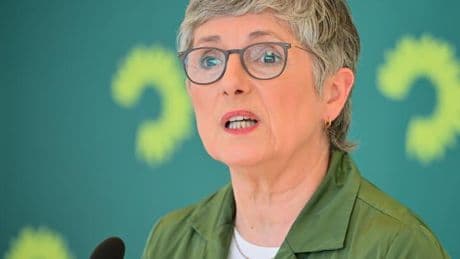 Regierungssprecher dementiert – Grüne reagieren irritiert auf Merz Vorstoß