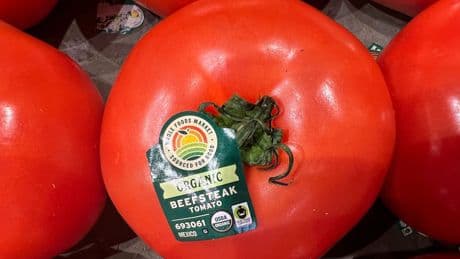 Amid Cinco de Mayo celebrations, a tax on Mexican tomatoes looms