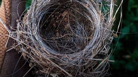 Fiber Optic Bird’s Nest Heralds A Fiber Drone Summer In Ukraine