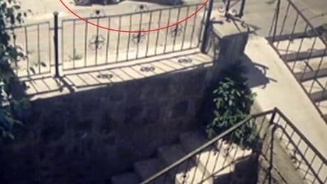 Tekerlekli sandalyedeki kadına şiddet!