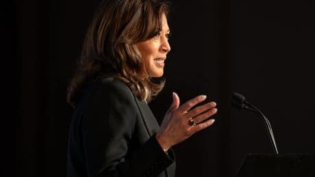 Party Activists in California Aren’t Sold on a Harris Run for Governor