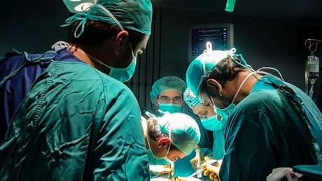 España revalida su liderazgo mundial en donación de órganos con 2.562 donantes tras muerte, el 5% global