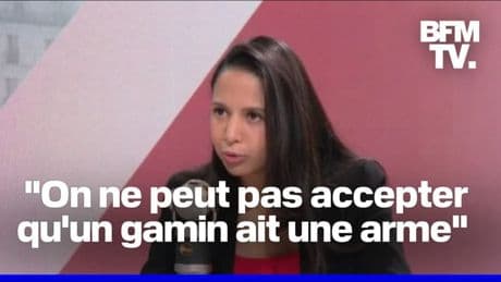 ZFE, écologie, armes blanches... L'interview en intégralité de la députée  Horizons Naïma Moutchou