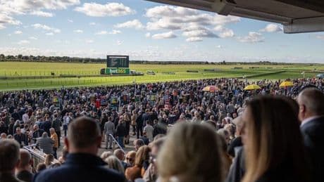 Betfred 2000 Guineas tips: 12/1 shot fancied for glory as rider looks to make history