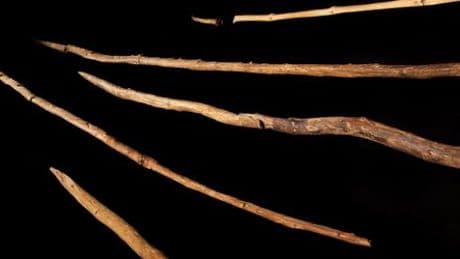 Schöninger Speere: Die ältesten vollständig erhaltenen Jagdwaffen der Welt sind vielleicht doch nicht so alt