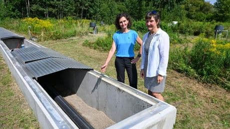 Umwelt: Neue Methode zur Grundwasseranreicherung im Test