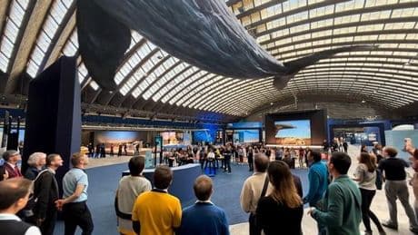Emergencia azul: la ONU convoca a sus 193 países para salvar el océano del calentamiento y la contaminación