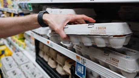 Shoppers buying eggs urged to check for 1 small sign to avoid salmonella