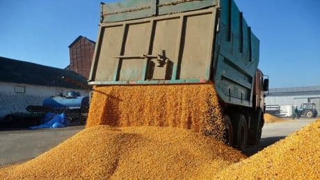 EU lässt nach drei Jahren Zollbefreiung für Ukraine auslaufen