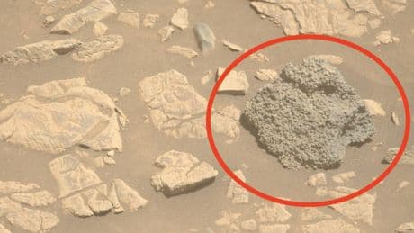 La NASA encuentra una roca cubierta de 'huevos de araña' en Marte y no sabe cómo llegó hasta ahí