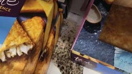 Shocking pictures show Sainsbury's store shelves 'dirty with black mould'